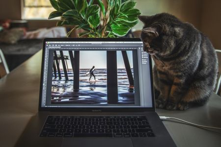 Как научиться работать в Photoshop и сколько на этом зарабатывают? - Блог