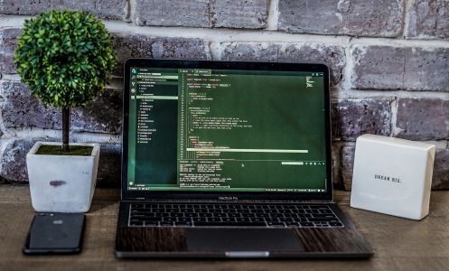 Сколько зарабатывает разработчик на Vue.js - Блог